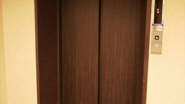 建物のデザイン / 15