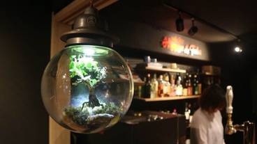 バー (施設内) / 3