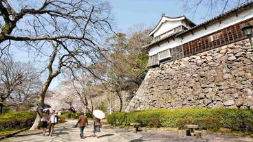 観光スポット / 13