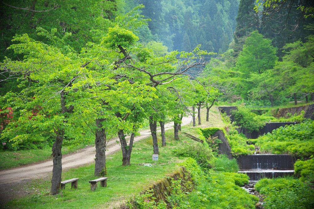 マウンテン ビュー
