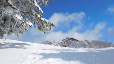 スキー ヒル / 9