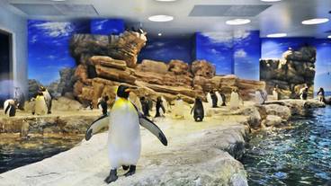 観光スポット / 27