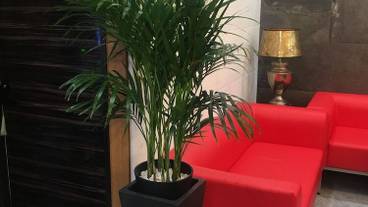 ロビーラウンジ / 10