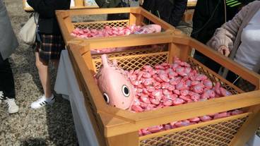 観光スポット / 4