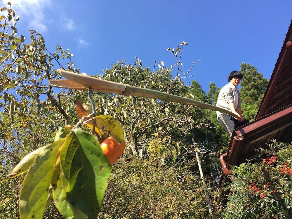 メイン イメージ
