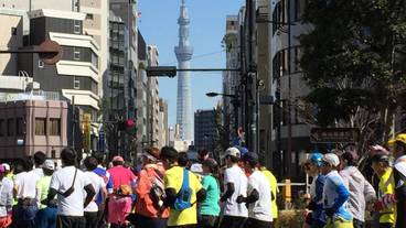 観光スポット / 15