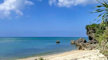 ビーチ / オーシャン ビュー / 2