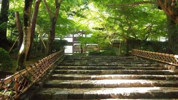 観光スポット / 9