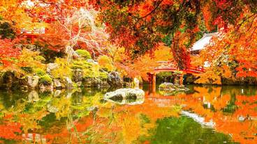 シティ ビュー / 9