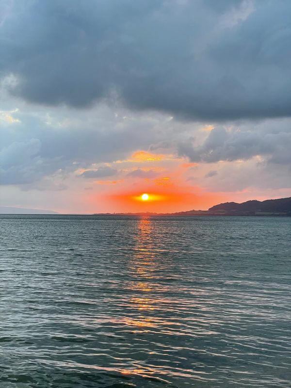 mari_happiness_さんの写真 / 1