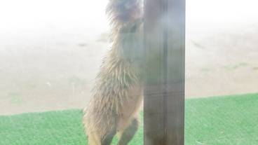 施設の敷地 / 14