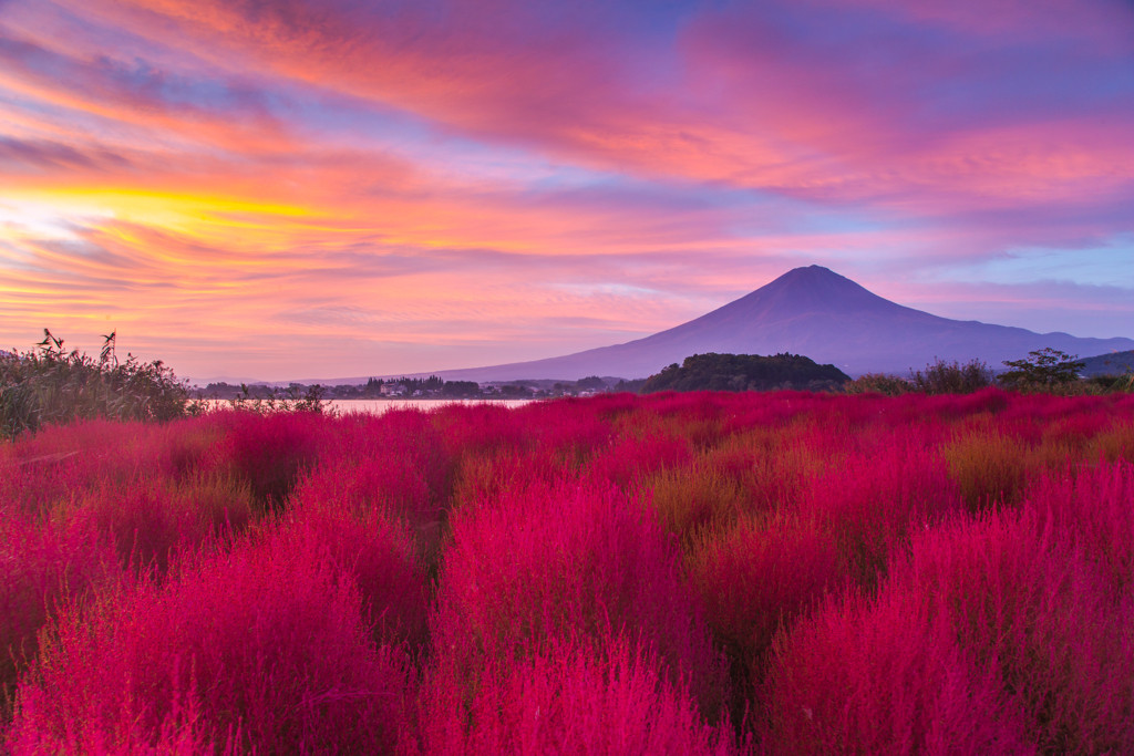 「大石公園」はじめ、フォトジェニックな観光スポットがたくさん4771463