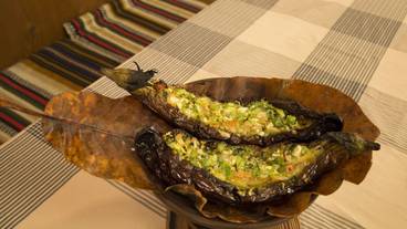 フード コート / 11