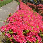 矢板温泉まことの湯（栃木県 別荘・ヴィラ・コンドミニアム） / 5