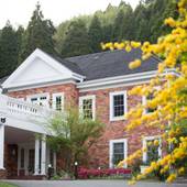 由布院温泉 湯布院 ホテル森のテラス(大分県 リゾートホテル) / 4