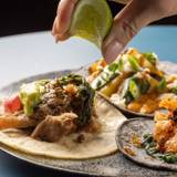 メキシカンバー / 1