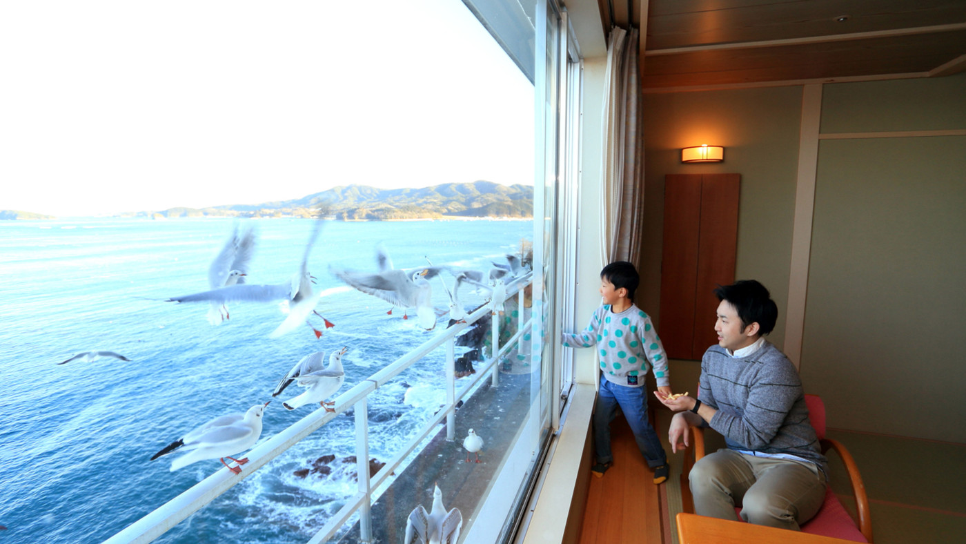 オーシャンビューのお部屋にウミネコが訪れる？4375745