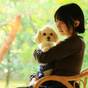 愛犬と泊まる温泉旅館ステイ（食事処　松コース） | 伊豆長岡温泉　三養荘