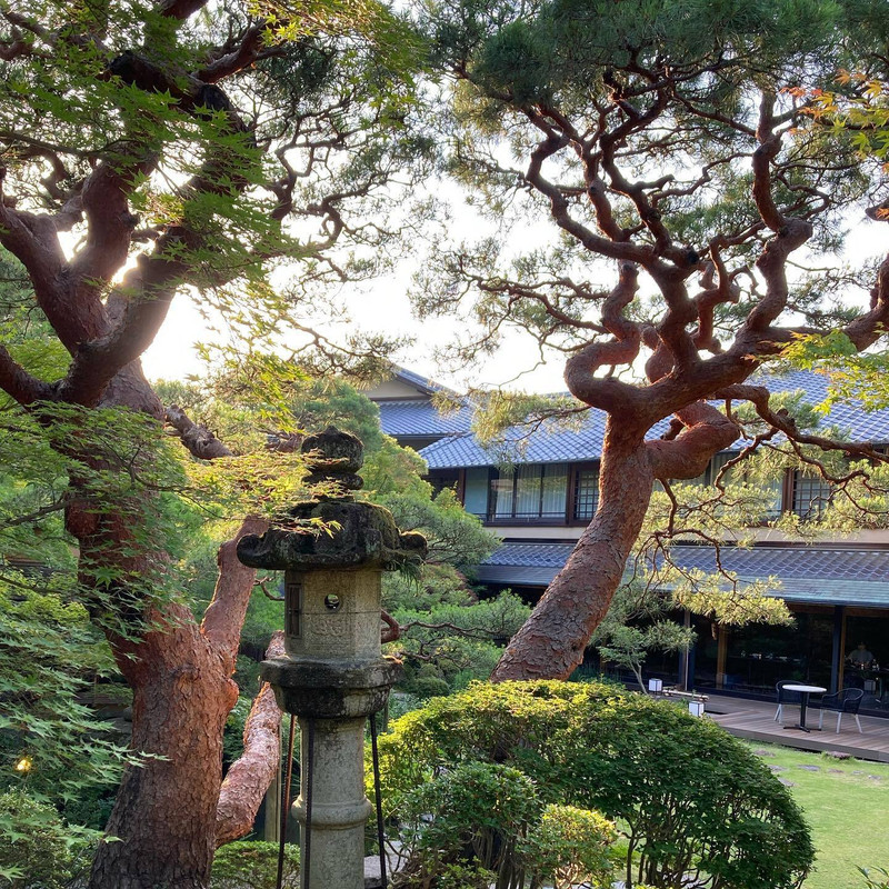 ayizosさんの写真 / 1