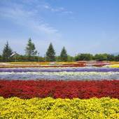 いいね！レシーア南知多（愛知県 リゾートホテル） / 3