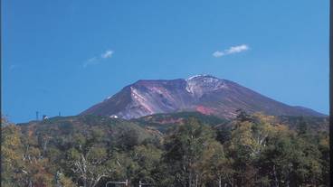 観光スポット / 5