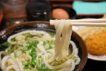 「手打十段 うどんバカ一代」 料理 76292830 