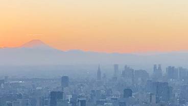 観光スポット / 7