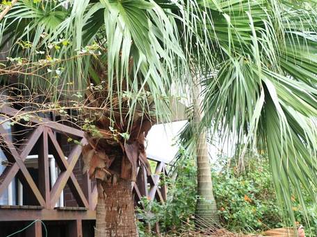 ペンション シーフォレスト（屋久島） / 2