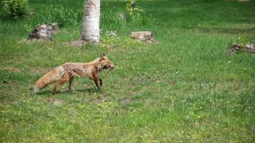 施設からの眺望 / 10