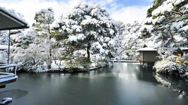 冬の庭園 / 6