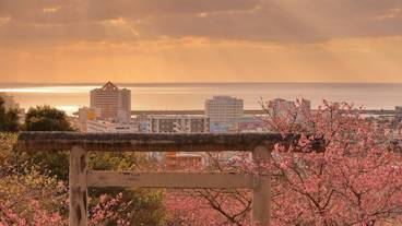 ランド ビュー / 14