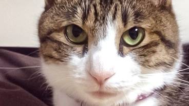 施設内の設備 / 3