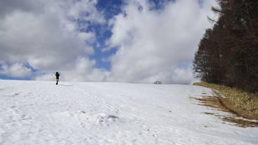 スキー ヒル / 1