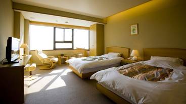 洋室ツイン / 11