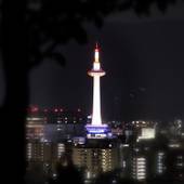 三塔庵(京都府 旅館) / 3