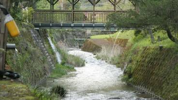 施設の敷地 / 12