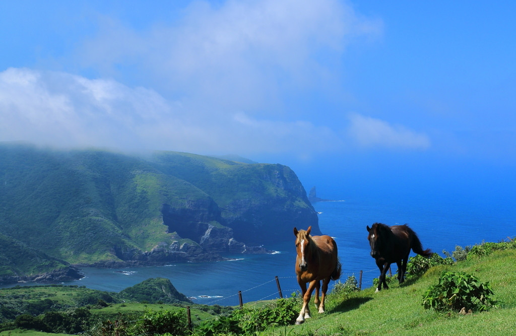 乗馬体験プランや近くに体験施設があるホテル・宿をご紹介♡3405366