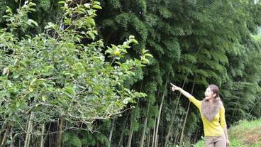 施設からの眺望 / 29