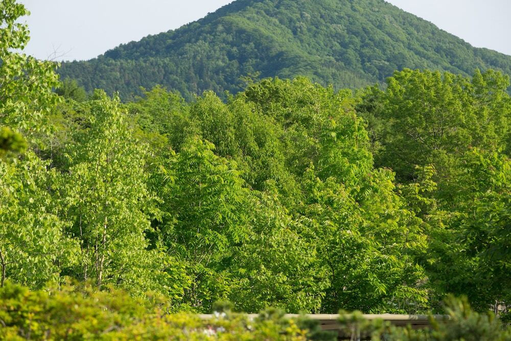 マウンテン ビュー