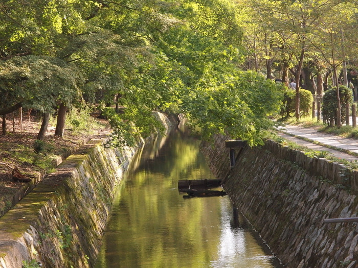 京都「哲学の道」をお散歩しよう！散策のおすすめスポット♪ | icotto