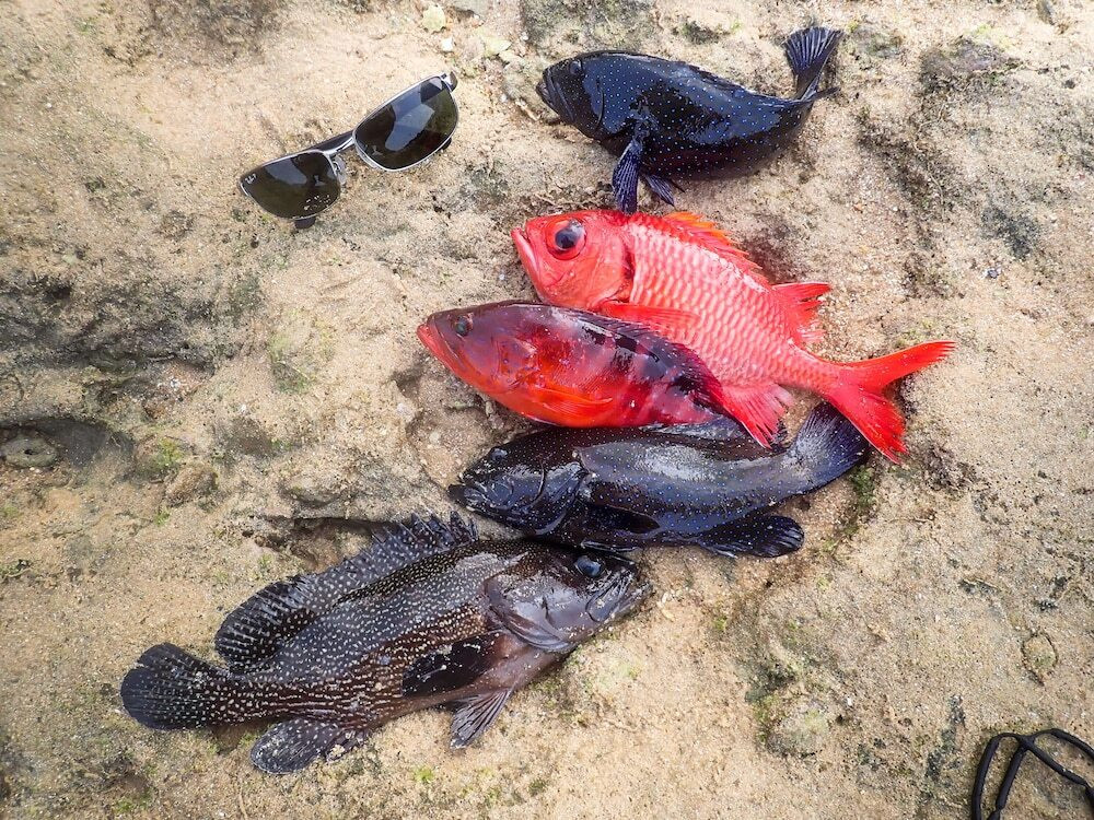 釣り