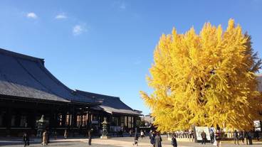 観光スポット / 5