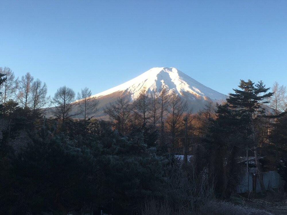 マウンテン ビュー