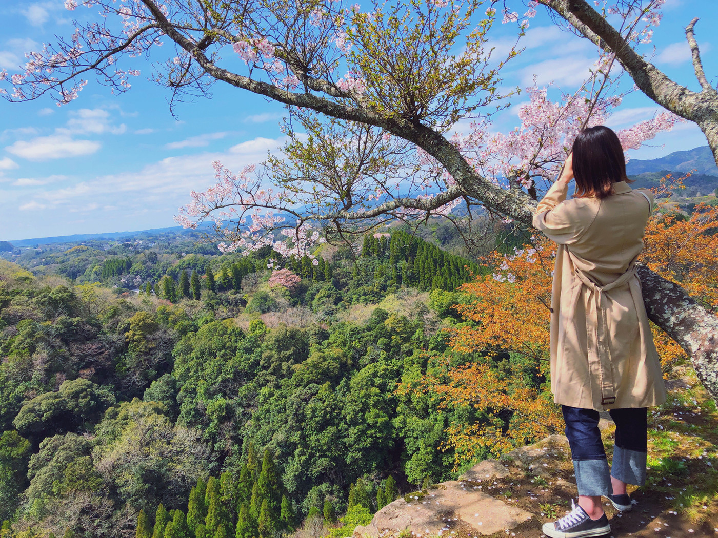 岡城跡にお花見に行きました