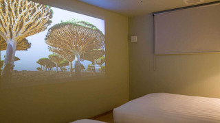 [ペット同室不可]10名定員 禁煙 (B-102)