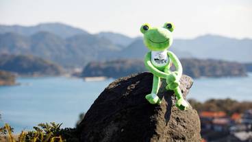 施設の敷地 / 19