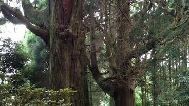 施設からの眺望 / 6