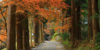 【岩手】縁結び神社に金運スポットも？女一人旅におすすめのパワースポット9選