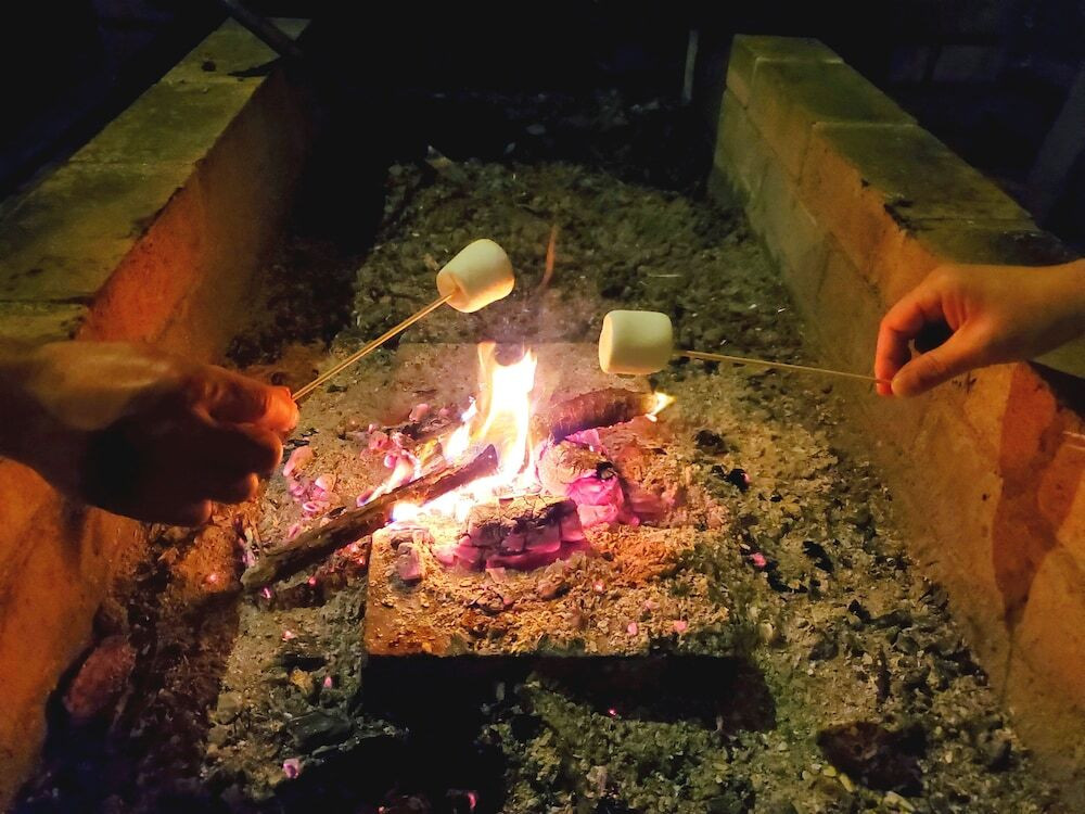 子供向けアクティビティ