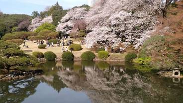 観光スポット / 8